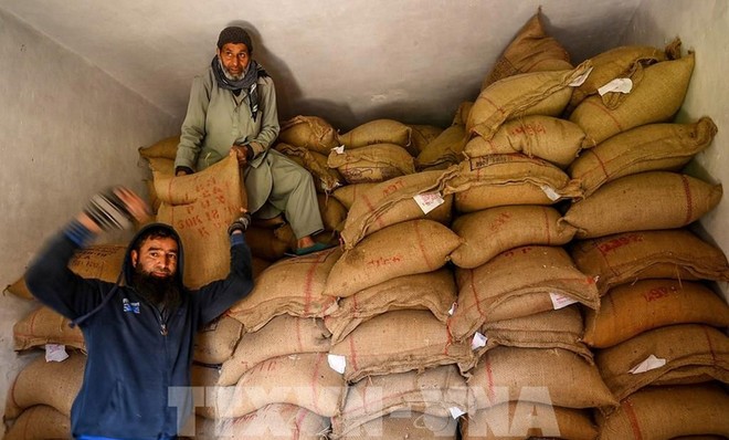 Vận chuyển gạo tại kho ở Srinagar, Ấn Độ. Ảnh: AFP/TTXVN