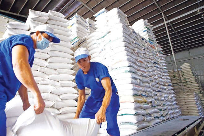 Việt Nam vẫn là đối tác xuất khẩu gạo lớn nhất của Philippines