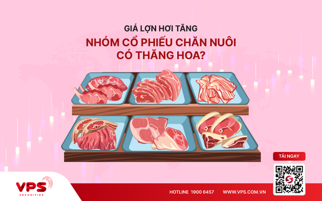 Giá lợn hơi tăng, nhóm cổ phiếu chăn nuôi có thăng hoa?