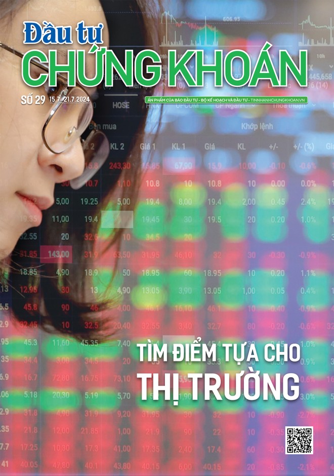 Báo Đầu tư Chứng khoán số 29