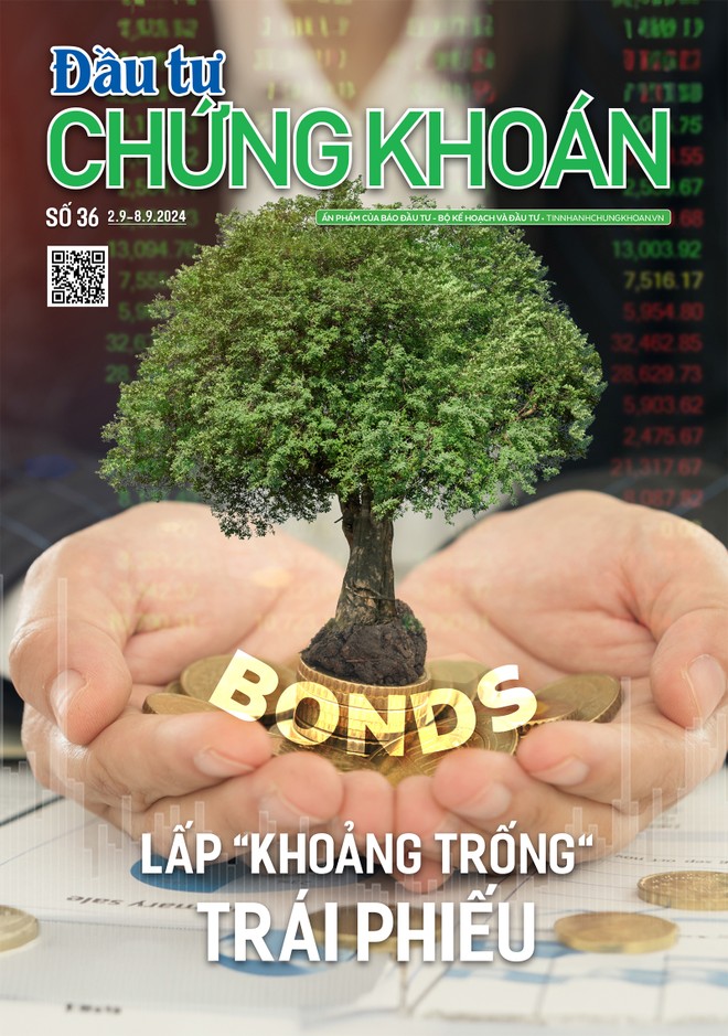 Báo Đầu tư Chứng khoán số 36