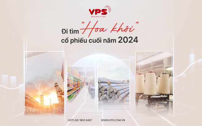 Đi tìm “hoa khôi” cổ phiếu cuối năm 2024