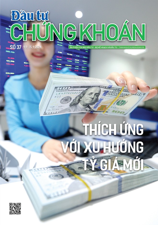 Báo Đầu tư Chứng khoán số 37