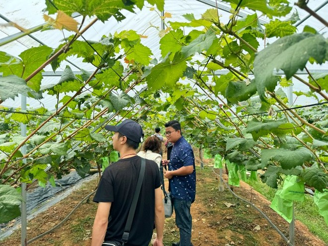 Việc cải tiến thủ tục hành chính cũng là một phần trong chiến lược cải cách tổng thể của Thành phố Hà Nội nhằm nâng cao năng lực cạnh tranh, thu hút đầu tư và hỗ trợ khởi nghiệp. Ảnh: Nguyễn Linh 