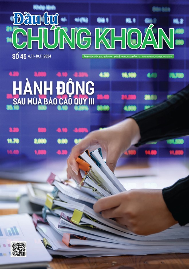 Báo Đầu tư Chứng khoán số 45