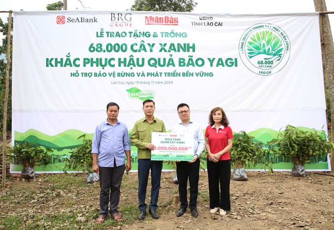 SeABank và Tập đoàn BRG chung tay trồng 68.000 cây phủ xanh gần 20 ha rừng tại Lào Cai