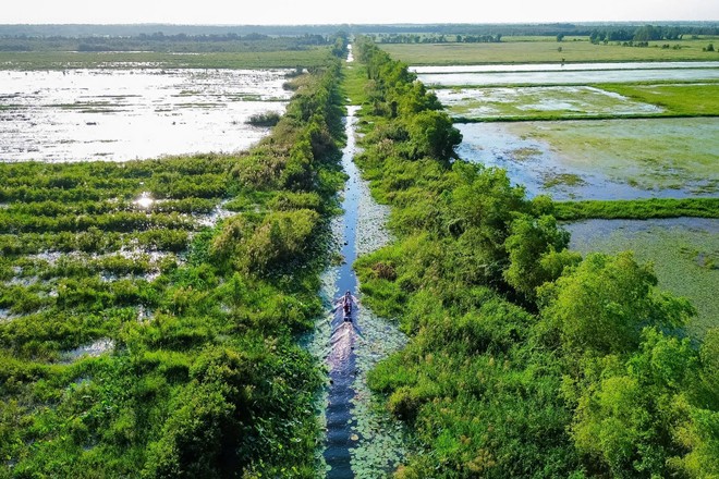 C.P. Việt Nam bàn giao dự án phục hồi 17 ha rừng tràm tỉnh Long An