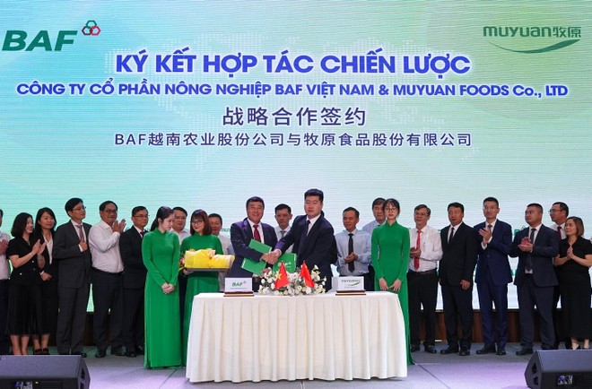 BAF ký kết hợp tác chiến lược với Tập đoàn Chăn nuôi – Thực phẩm hàng đầu thế giới Muyuan 