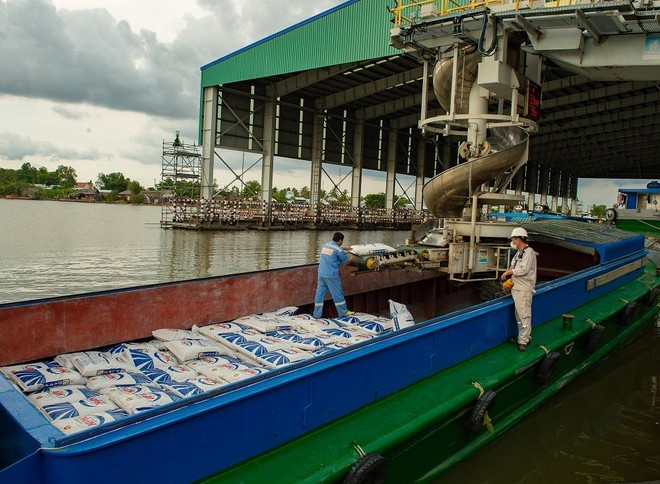 Phân bón Cà Mau (DCM) giảm xuất khẩu, tập trung vào thị trường nội địa