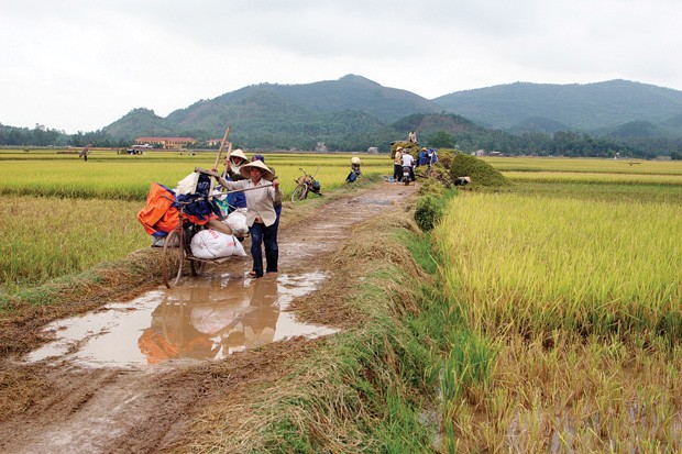 Xuất khẩu nông sản khó khăn đang ảnh hưởng trực tiếp đến đời sống của hàng chục triệu nông dân       