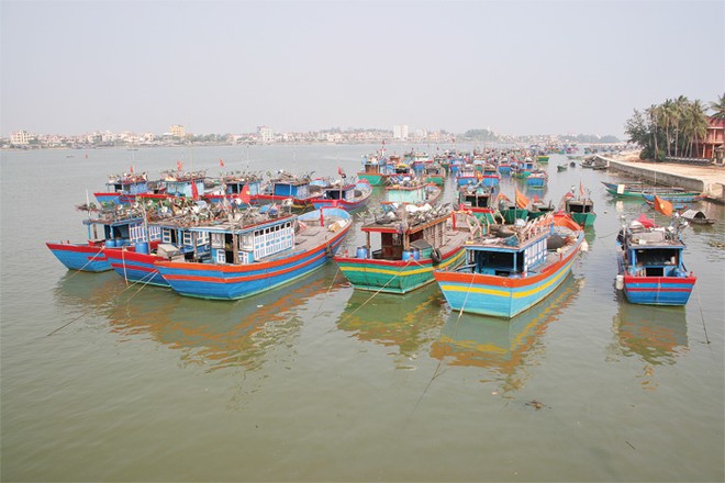 Bảo hiểm thủy sản được triển khai tại 28 tỉnh, thành ven biển