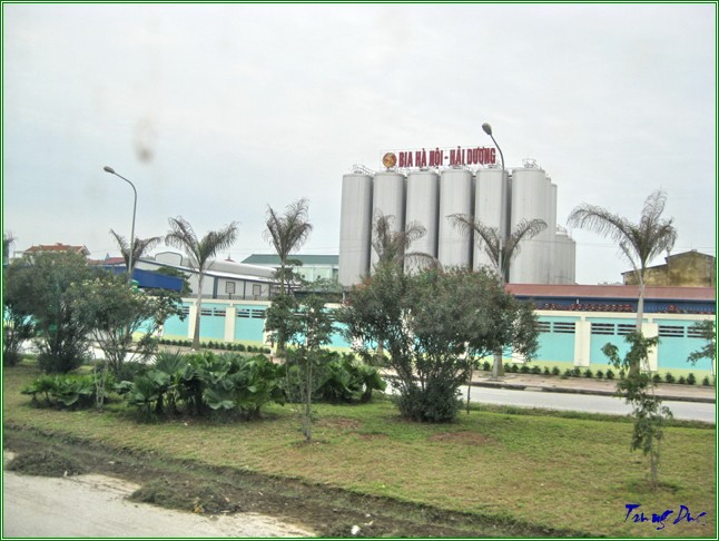 Ảnh Internet