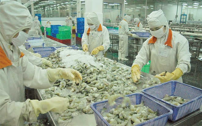 Các mặt hàng thủy sản chịu nhiều quy định chặt chẽ về xuất xứ và vệ sinh an toàn thực phẩm