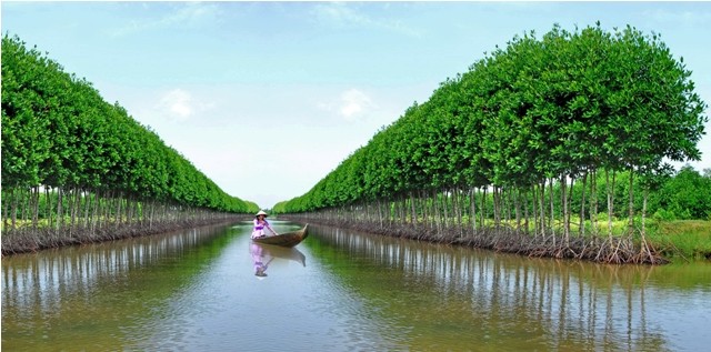 Cà Mau đề xuất đầu tư xây dựng cảng Hòn Khoai vào danh mục dự án PPP