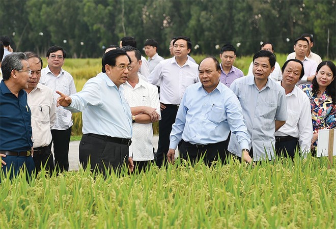 Với chủ trương dành hơn 100.000 tỷ đồng cho vay ưu đãi đầu tư nông nghiệp công nghệ cao,
Thủ tướng Chính phủ cho rằng, ngành nông nghiệp Việt Nam sẽ khai thác được thế mạnh vốn có