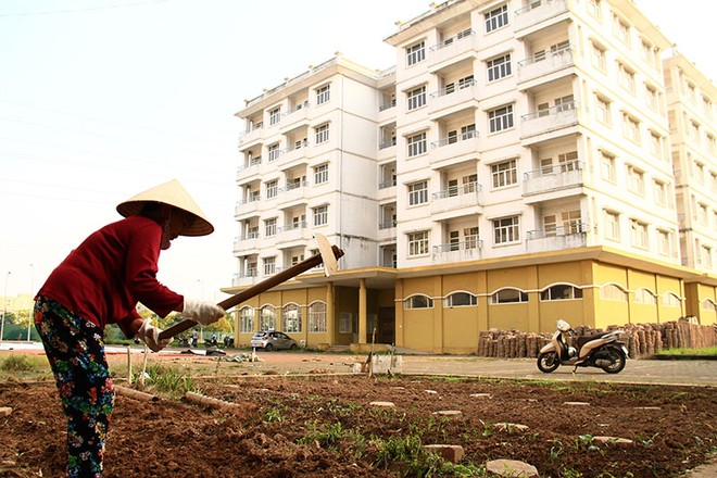 NHNN thúc giục 9 ngân hàng triển khai gói tín dụng 145.000 tỷ đồng cho nhà ở xã hội