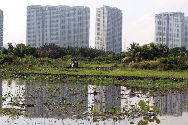 Ruộng vườn, đất đai bị hoang phế là tình cảnh chung của nhiều dự án “treo” nhiều năm tại TP.HCM. Ảnh: Trọng Tín