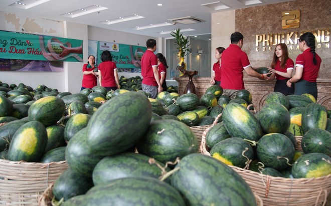 Nhân viên Phúc Khang cùng vận chuyển dưa đi các nơi trao tặng.