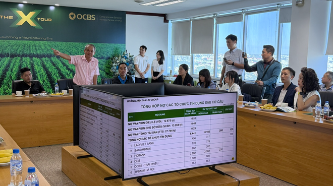 Ông Đoàn Nguyên Đức trình bày với đại diện quỹ đầu tư và công ty chứng khoán về sức khỏe tài chính của HAGL.