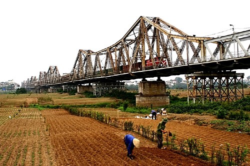 Hiệp hội Vận tải Hà Nội vừa đề nghị chính quyền thành phố Hà Nội xem xét làm bãi đỗ xe ở bãi giữa sông Hồng dưới cầu Long biên để giảm ùn tắc giao thông