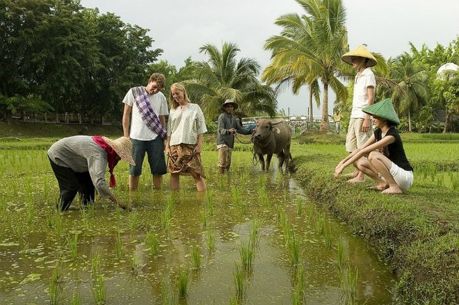 Homestay ở Việt Nam