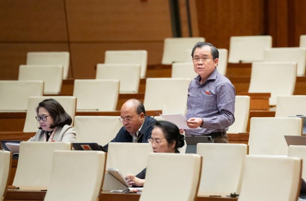 Đại biểu Nguyễn Tâm Hùng (TP.HCM).