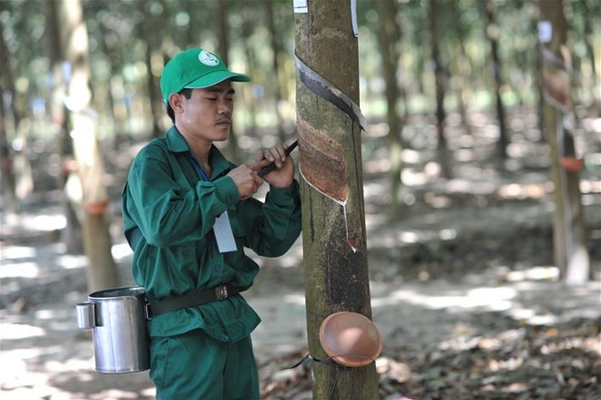 Cổ phiếu cần quan tâm ngày 14/7