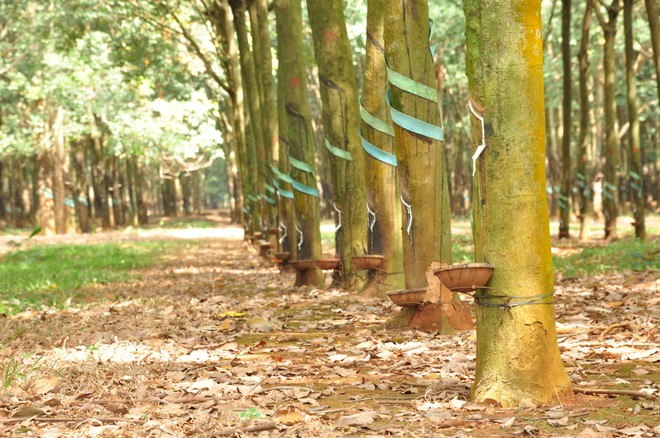 Cổ phiếu cần quan tâm ngày 27/10