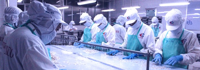 Thủy sản Cà Mau (CAT) chia cổ tức 15% bằng tiền và phát hành hơn 4,6 triệu cổ phiếu giá 10.000 đồng/CP 