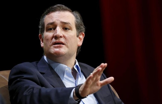 Thượng nghị sĩ Mỹ Ted Cruz. Ảnh: Reuters.