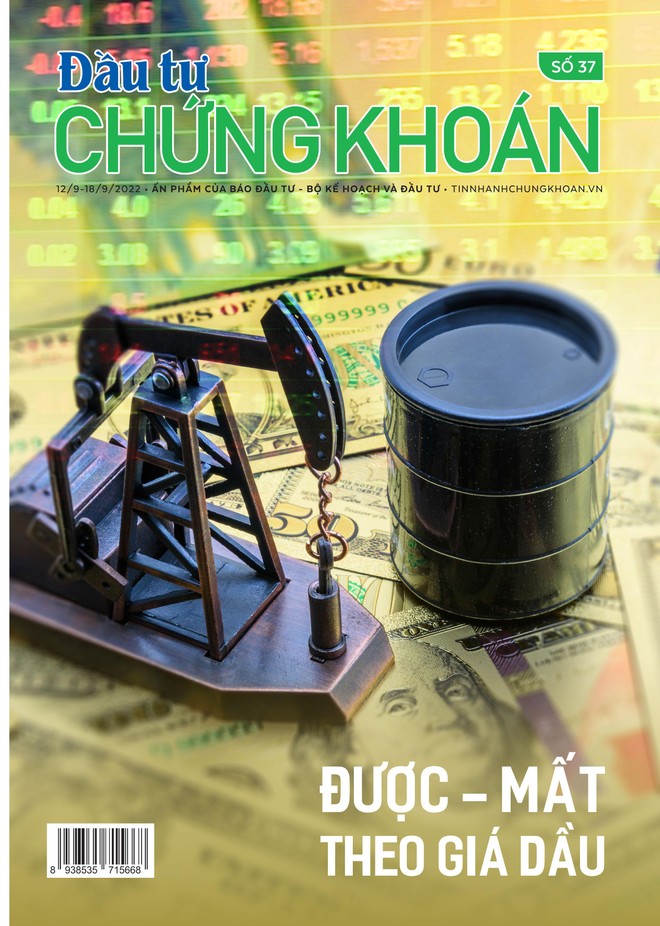 Đầu tư Chứng khoán số 37/2022