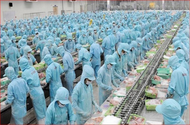 Đầu tư và Phát triển Đa quốc gia I.D.I (IDI): HOSE nhắc nhở chậm công bố thông tin