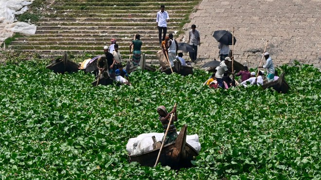 Lục bình làm tắc nghẽn sông Buriganga ở Dhaka, Bangladesh vào ngày 6/6