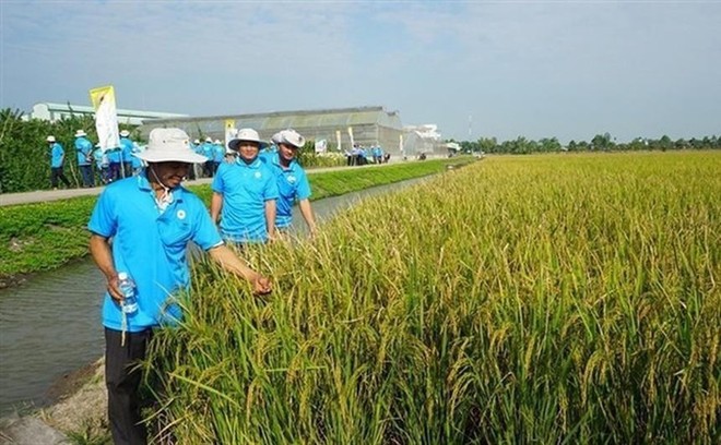 Lộc Trời (LTG) lùi thời gian tổ chức Đại hội đồng cổ đông năm 2025 sang ngày 21/7