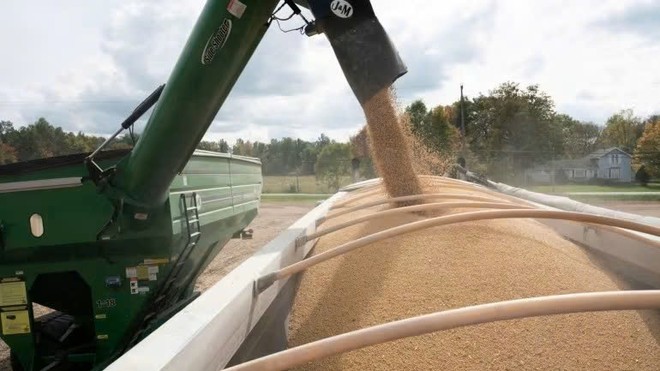 Giá phân bón đang đứng trước áp lực tăng giá