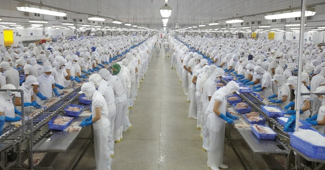 Vĩnh Hoàn (VHC): Con gái Chủ tịch HĐQT Trương Thị Lệ Khanh đăng ký mua vào 5,7 triệu cổ phiếu 