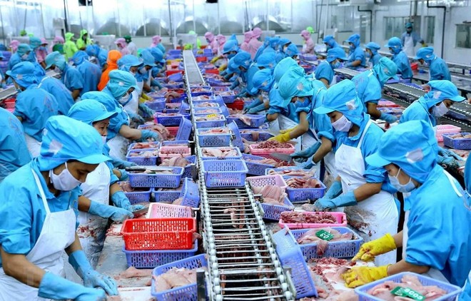 Năm 2020, lợi nhuận sau thuế của Nam Việt (ANV) giảm 71% 