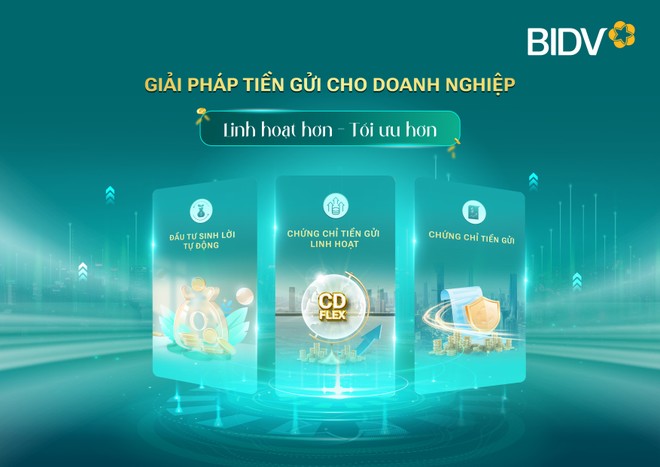 BIDV và giải pháp tối ưu cho doanh nghiệp