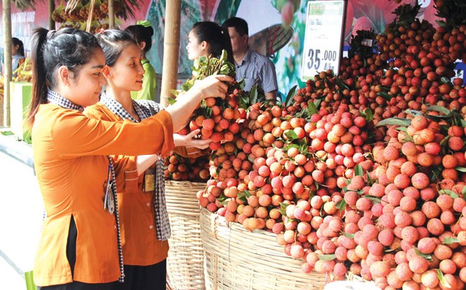 Nông sản Việt như cô gái đẹp, nhưng chỉ ngồi nhà chờ người đến tán tỉnh