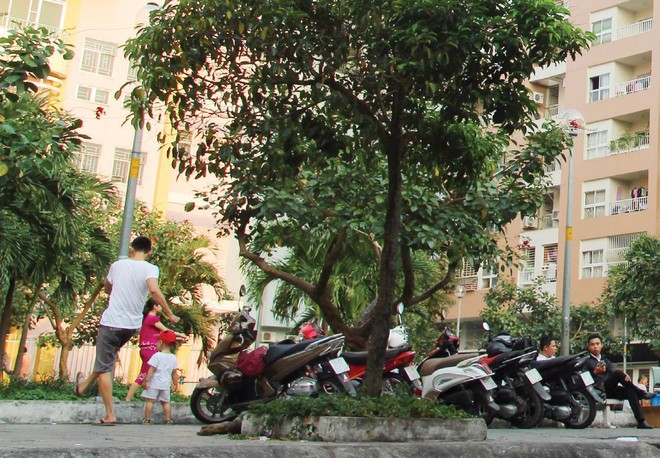 Căn hộ chung cư đã qua sử dụng đang được săn đón. Ảnh: Việt Dũng