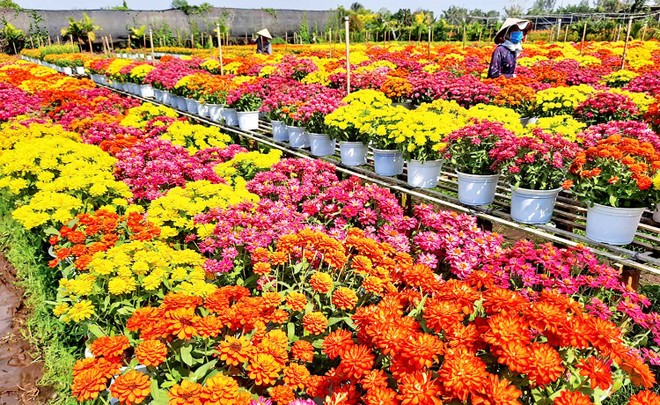Đồng bằng sông Cửu Long vào mùa cao điểm du lịch hè