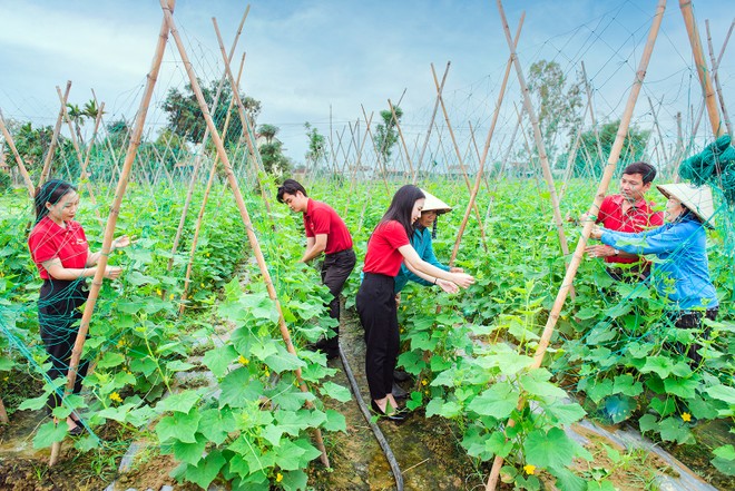 Agribank ưu tiên cho vay các dự án nông nghiệp công nghệ cao