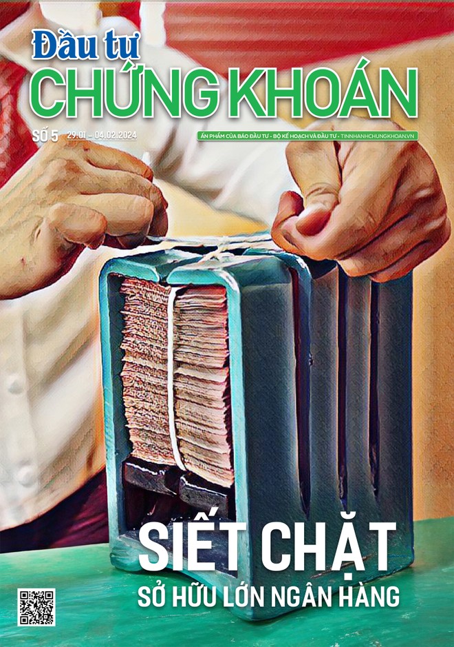 Báo Đầu tư Chứng khoán số 5