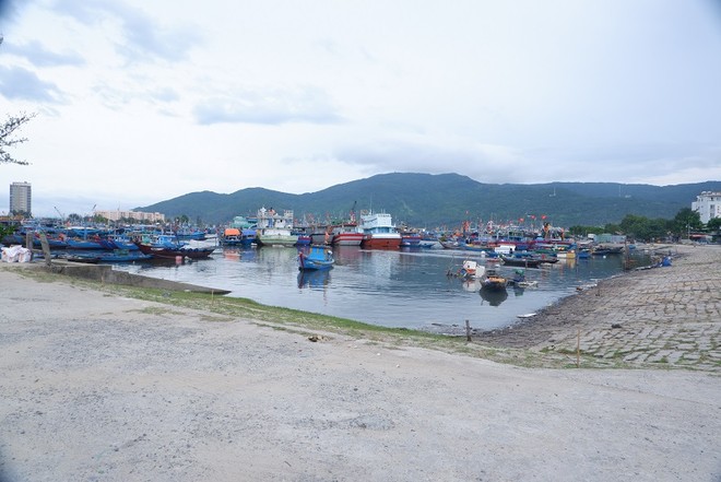 Đà Nẵng đang triển khai đồng thời Dự án Nạo vét âu thuyền Thọ Quang và Dự án Đầu tư xây dựng nâng cấp, mở rộng cảng cá Thọ Quang (giai đoạn 2).
