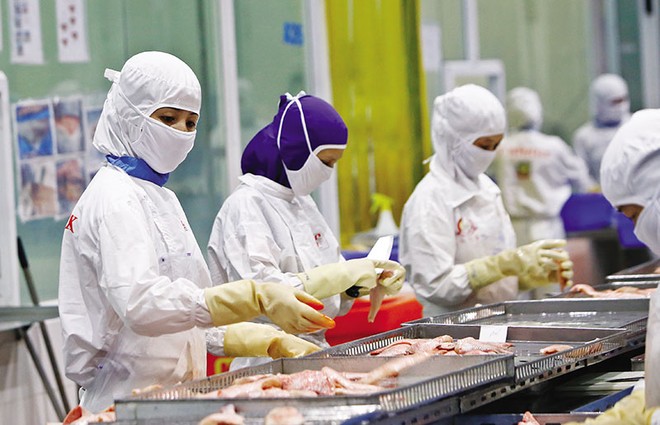 Việt Nam cần nhiều nỗ lực và cải cách hơn nữa