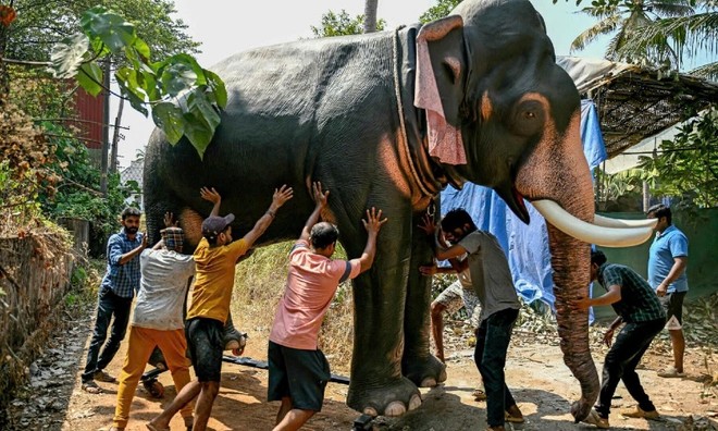 Một chú voi robot ở Thrissur, bang Kerala, Ấn Độ. Ảnh: AFP 