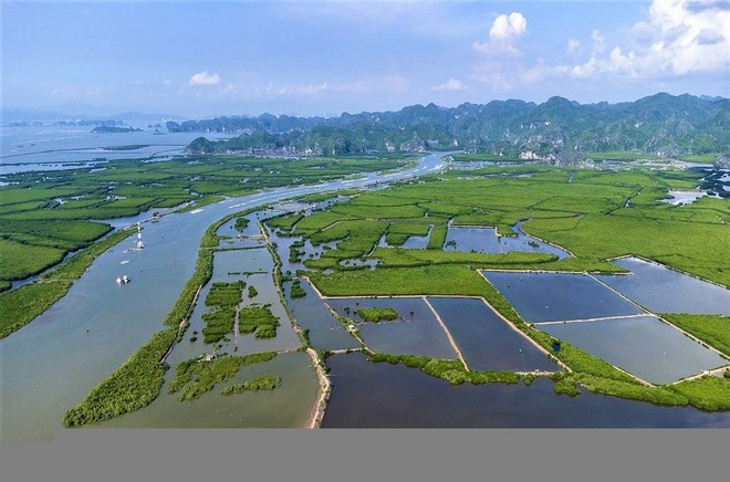 Hải Phòng muốn tái đầu tư nguồn thu từ giao dịch tín chỉ các-bon
