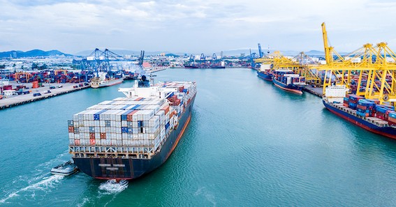 Quy mô xuất nhập khẩu gần 800 tỷ USD, Việt Nam nằm trong top 20 nền kinh tế hàng đầu về quy mô thương mại.