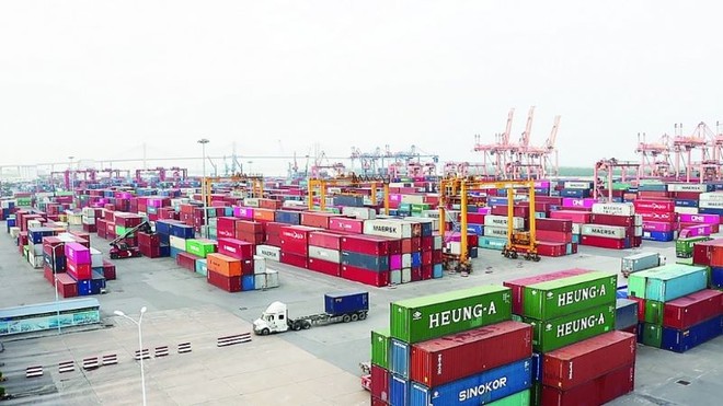 Cục Xuất nhập khẩu cấp các loại C/O mẫu A, C/O mẫu B, C/O không ưu đãi theo quy định của nước nhập khẩu, CNM, C/O mẫu GSTP.
