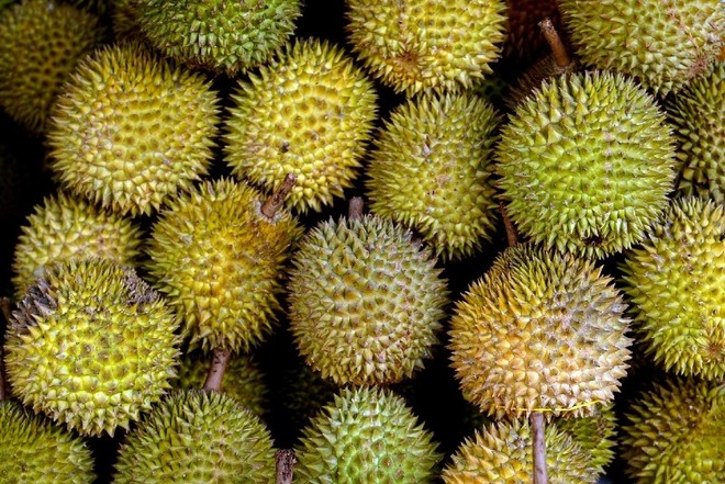 Trung Quốc là thị trường nhập khẩu lớn nhất với sầu riêng Việt Nam.